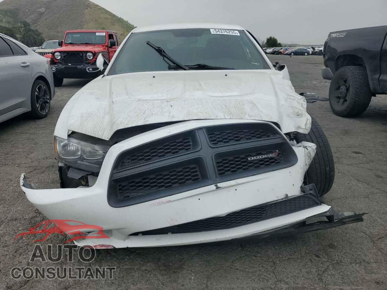 DODGE CHARGER 2014 - 2C3CDXBG6EH325313