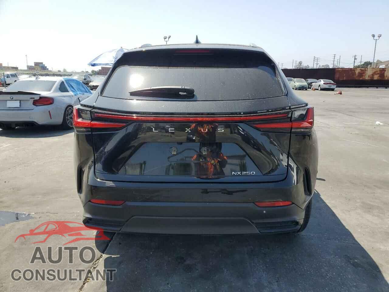 LEXUS NX 250 BAS 2024 - 2T2ADCAZ9RC012170