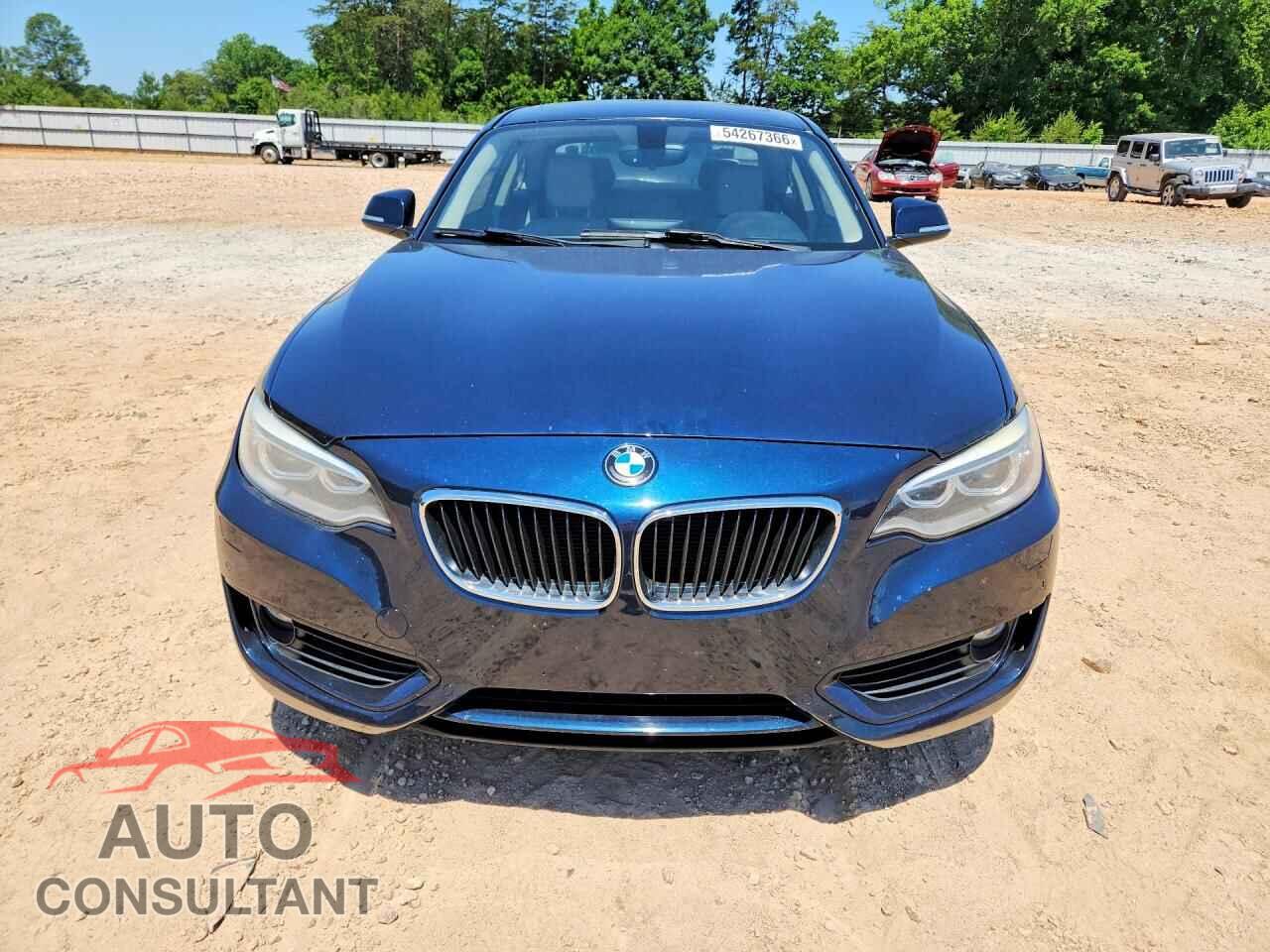 BMW 2 SERIES 2015 - WBA1F7C57FVX96046