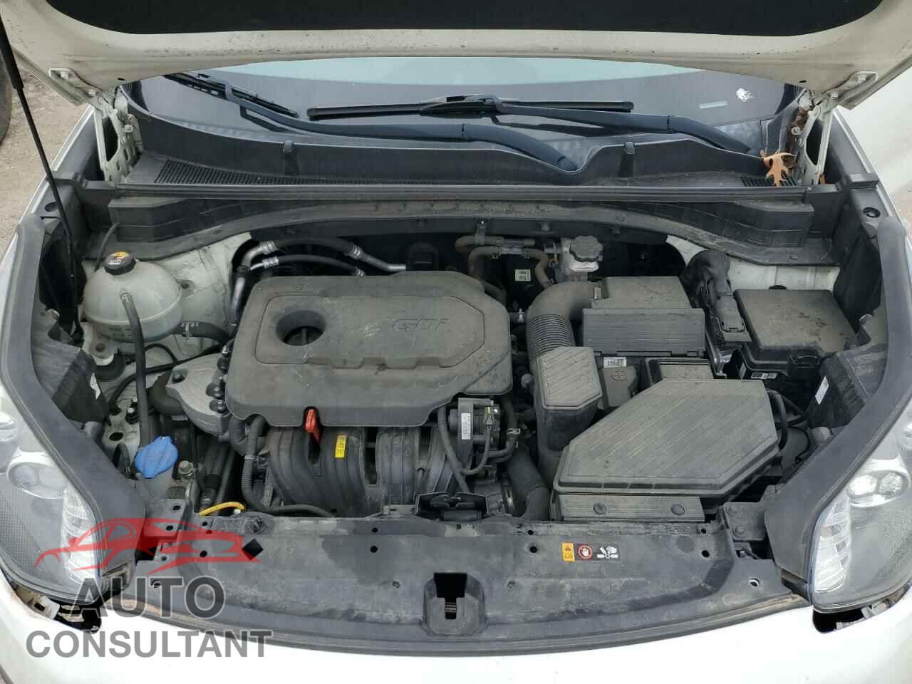 KIA SPORTAGE 2017 - KNDPM3AC0H7239354