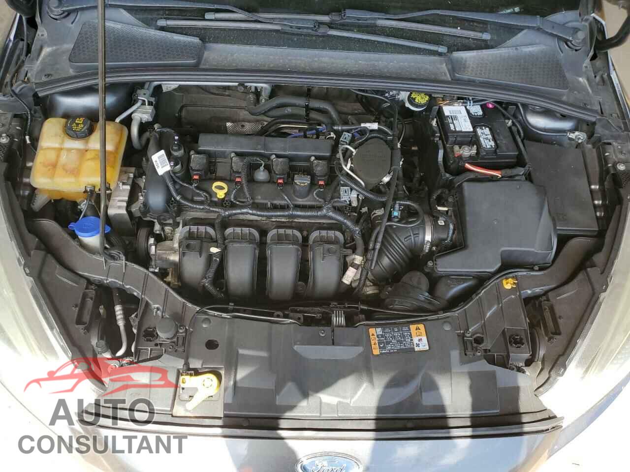 FORD FOCUS 2015 - 1FADP3F21FL206013