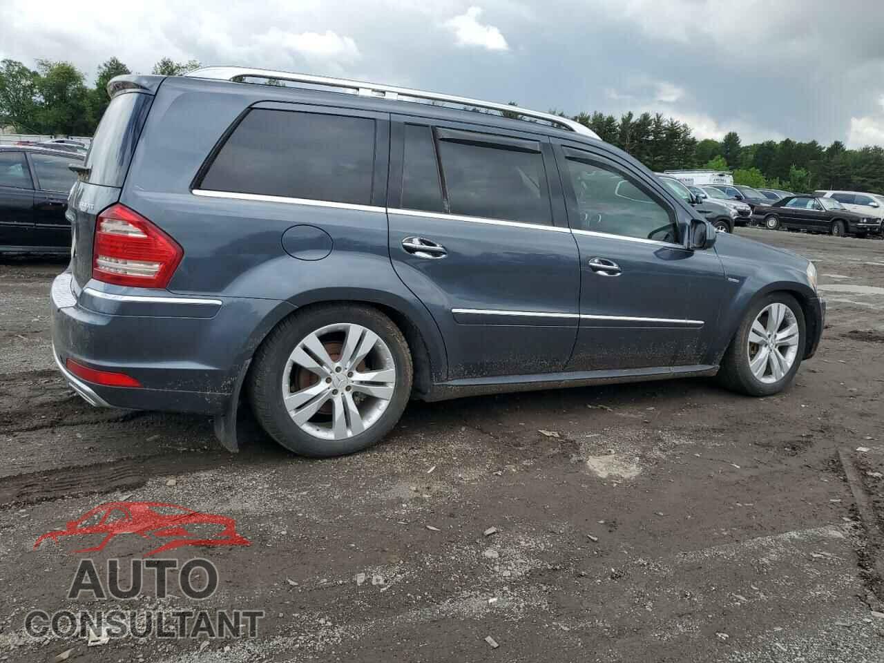 MERCEDES-BENZ GL-CLASS 2010 - 4JGBF2FE2AA538079