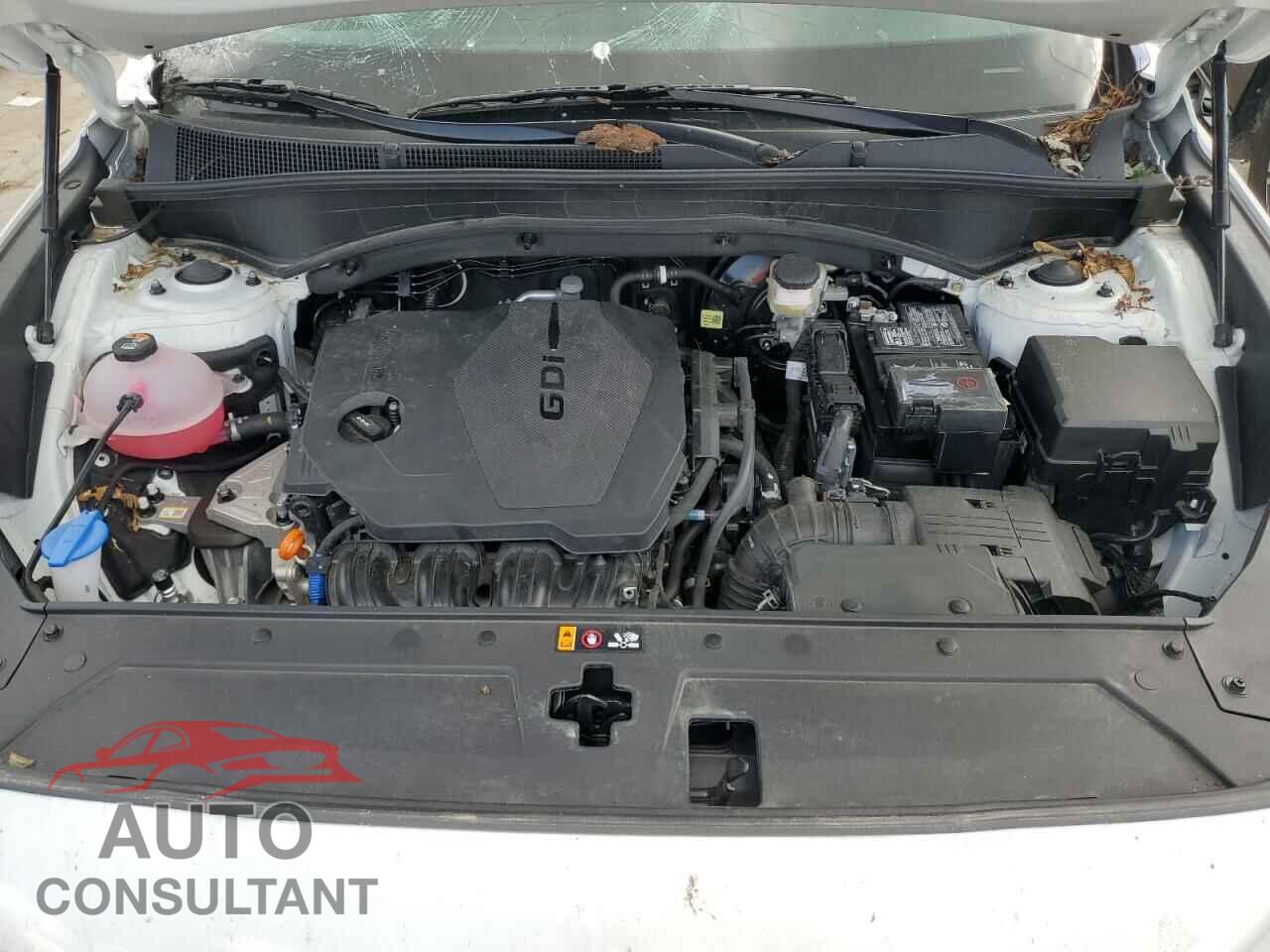 HYUNDAI SANTA FE 2023 - 5NMS14AJ1PH609970