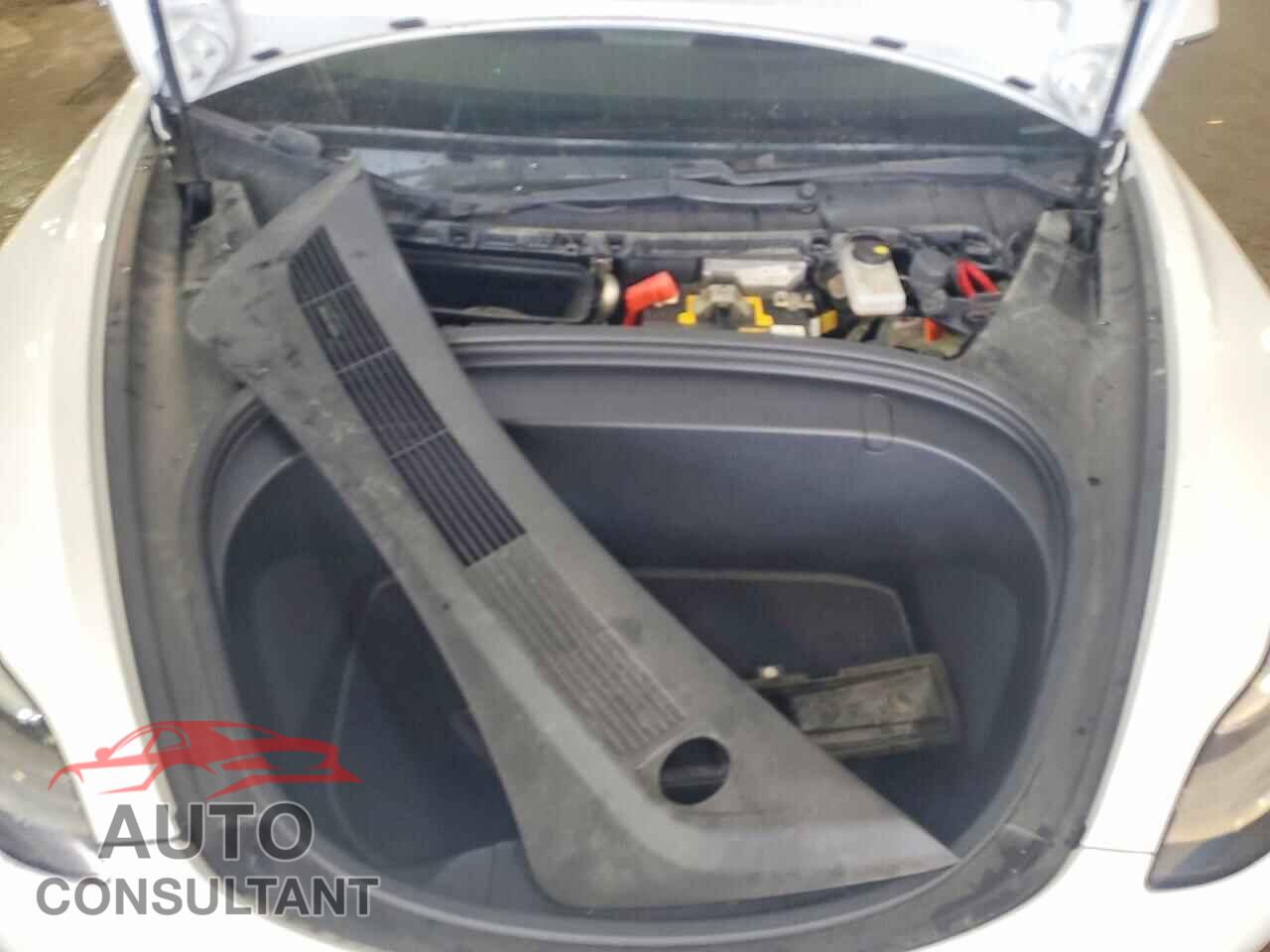 TESLA MODEL 3 2019 - 5YJ3E1EBXKF442299