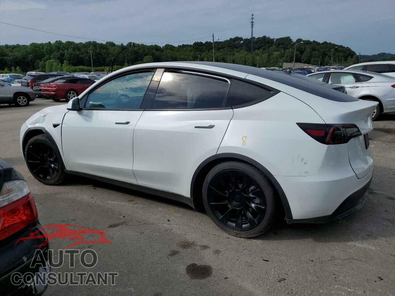 TESLA MODEL Y 2023 - 7SAYGDEE4PF813141