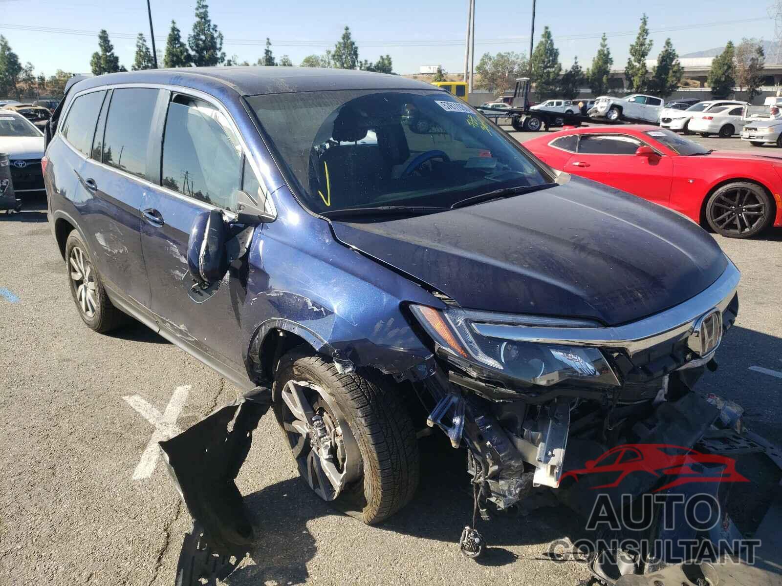 HONDA PILOT 2019 - 5FNYF5H54KB022957