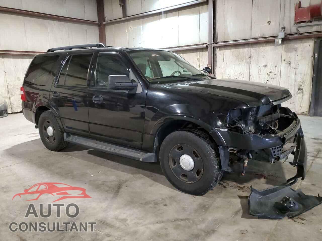 FORD EXPEDITION 2009 - 1FMFU16599EB03212