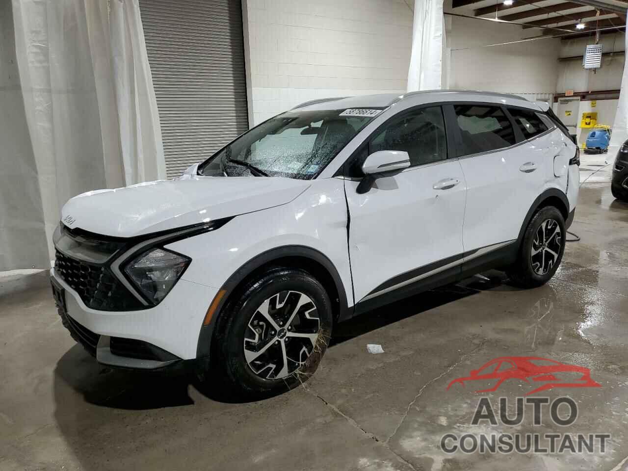 KIA SPORTAGE 2023 - 5XYK3CAF3PG118701