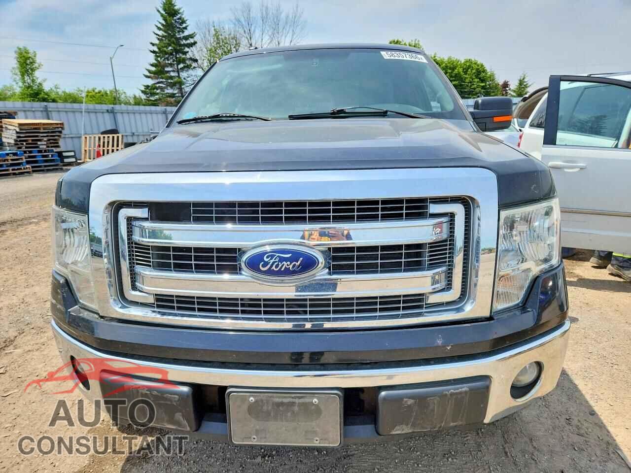 FORD F150 2013 - 1FTFX1EF0DFC00906