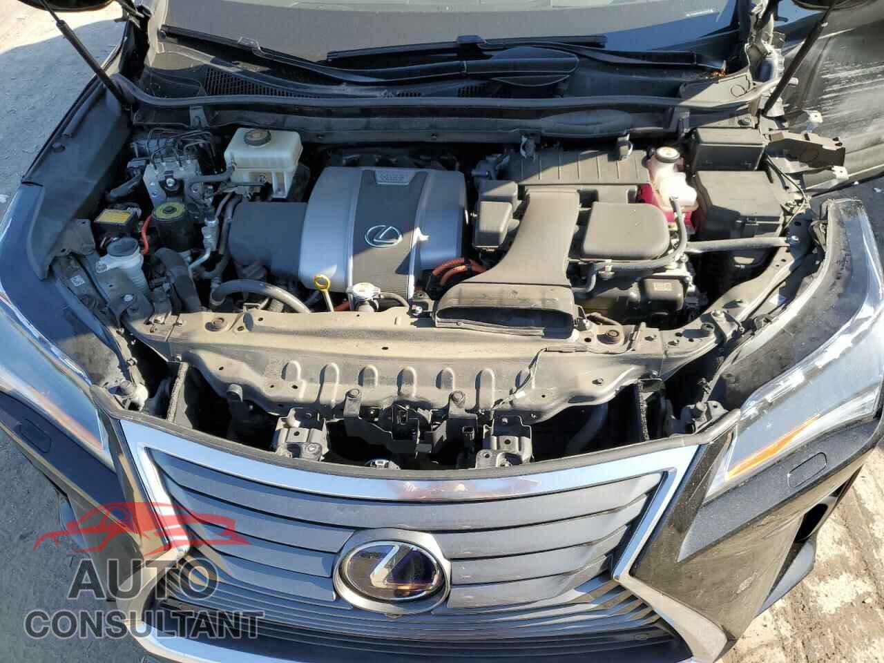 LEXUS RX450 2019 - 2T2BGMCA0KC032970