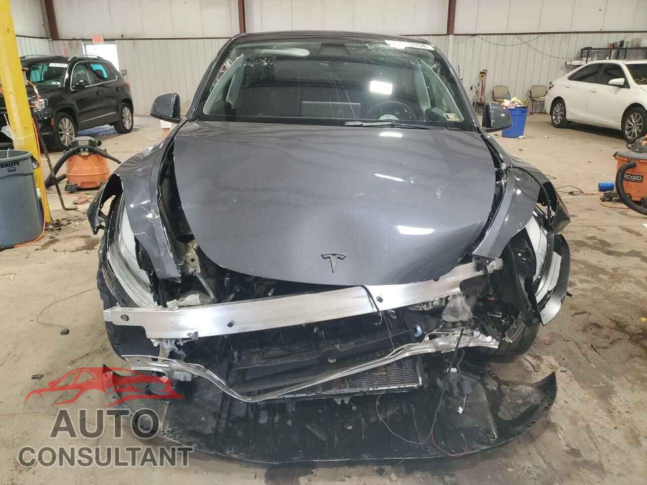 TESLA MODEL Y 2023 - 7SAYGDEE4PF877647