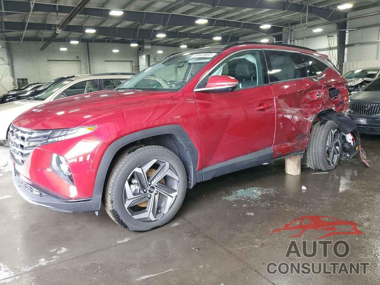 HYUNDAI TUCSON 2024 - 5NMJECDE9RH409589