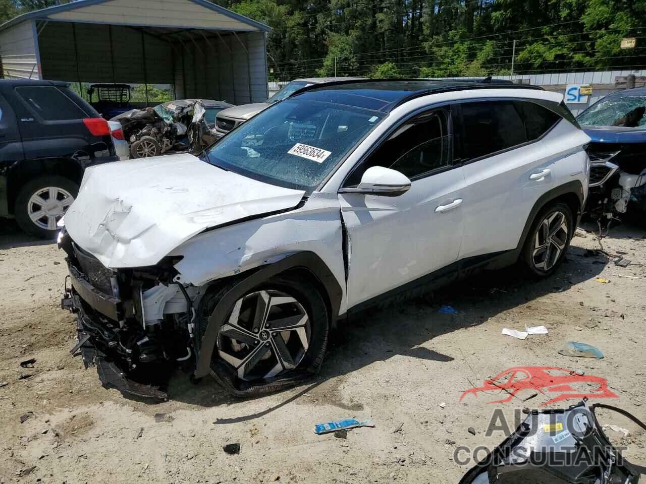 HYUNDAI TUCSON 2023 - 5NMJECAE7PH219324