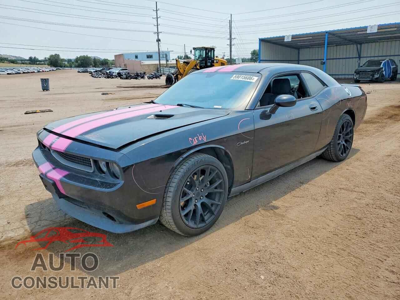 DODGE CHALLENGER 2010 - 2B3CJ4DVXAH240789