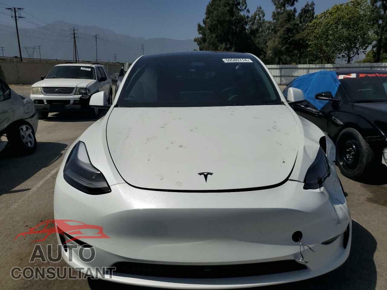 TESLA MODEL Y 2024 - 7SAYGDEF0RF059201