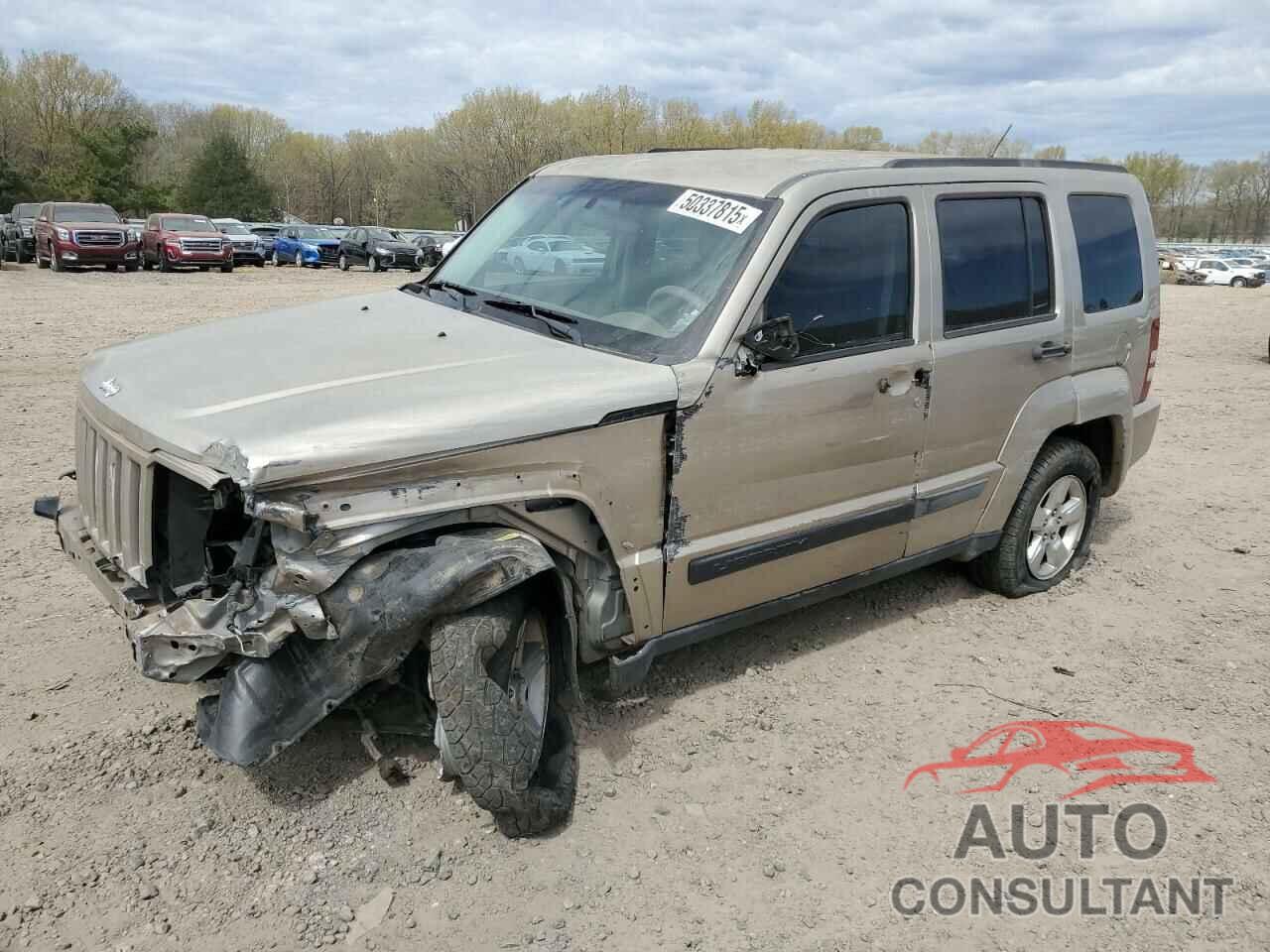 JEEP LIBERTY 2010 - 1J4PP2GK4AW102018