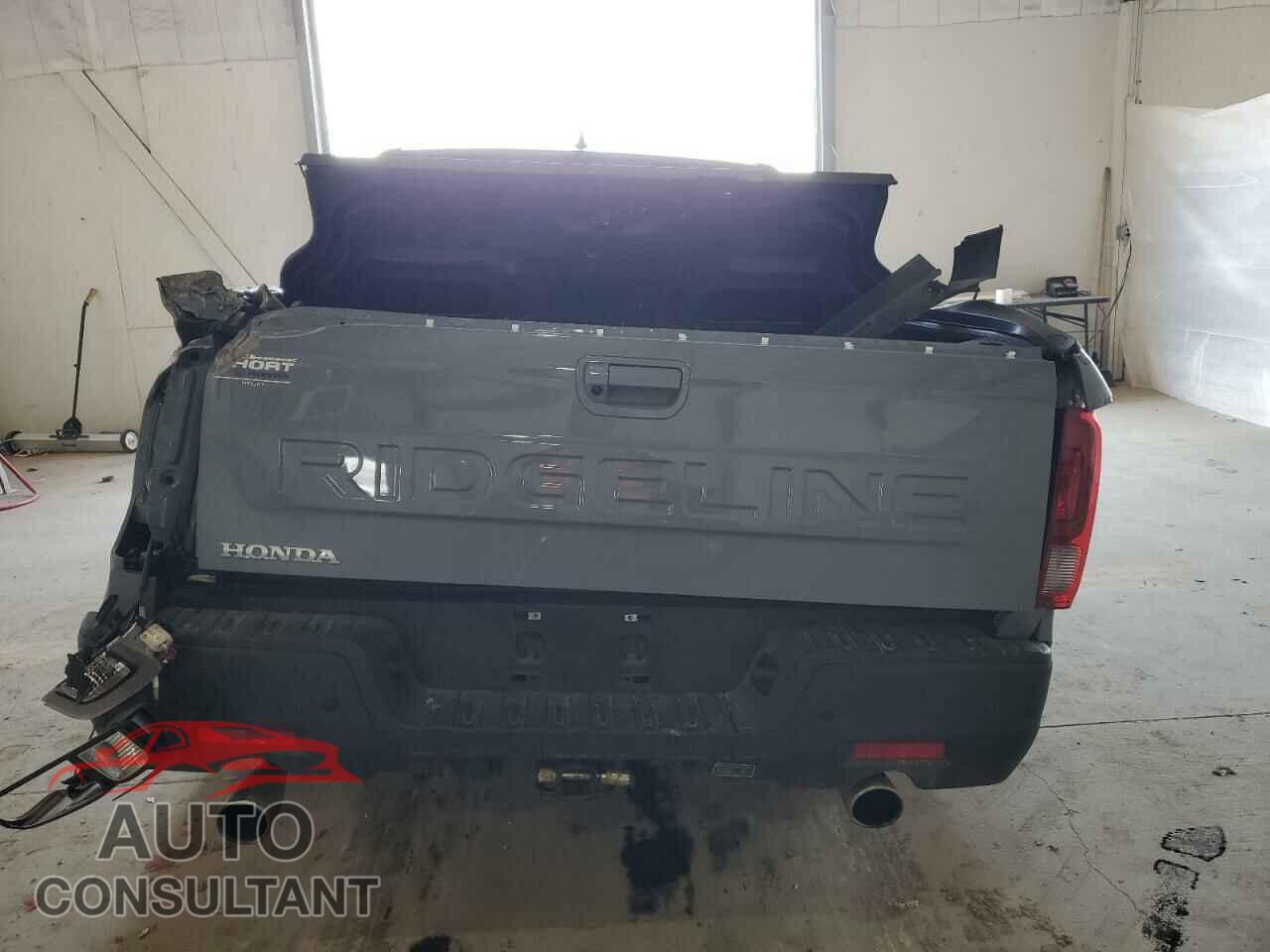 HONDA RIDGELINE 2024 - 5FPYK3F86RB031576