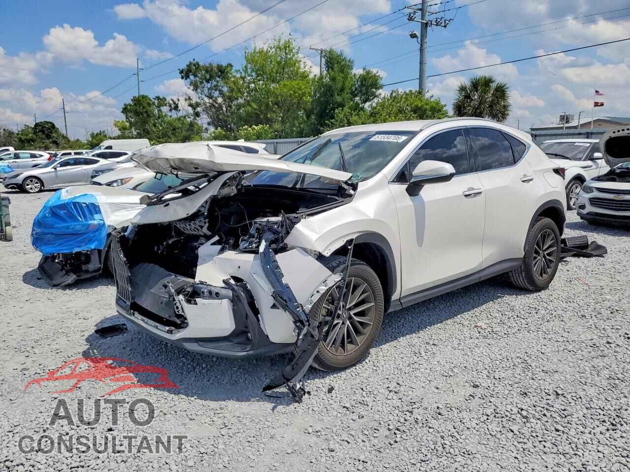 LEXUS NX 2025 - 2T2ADCAZ7SC018913