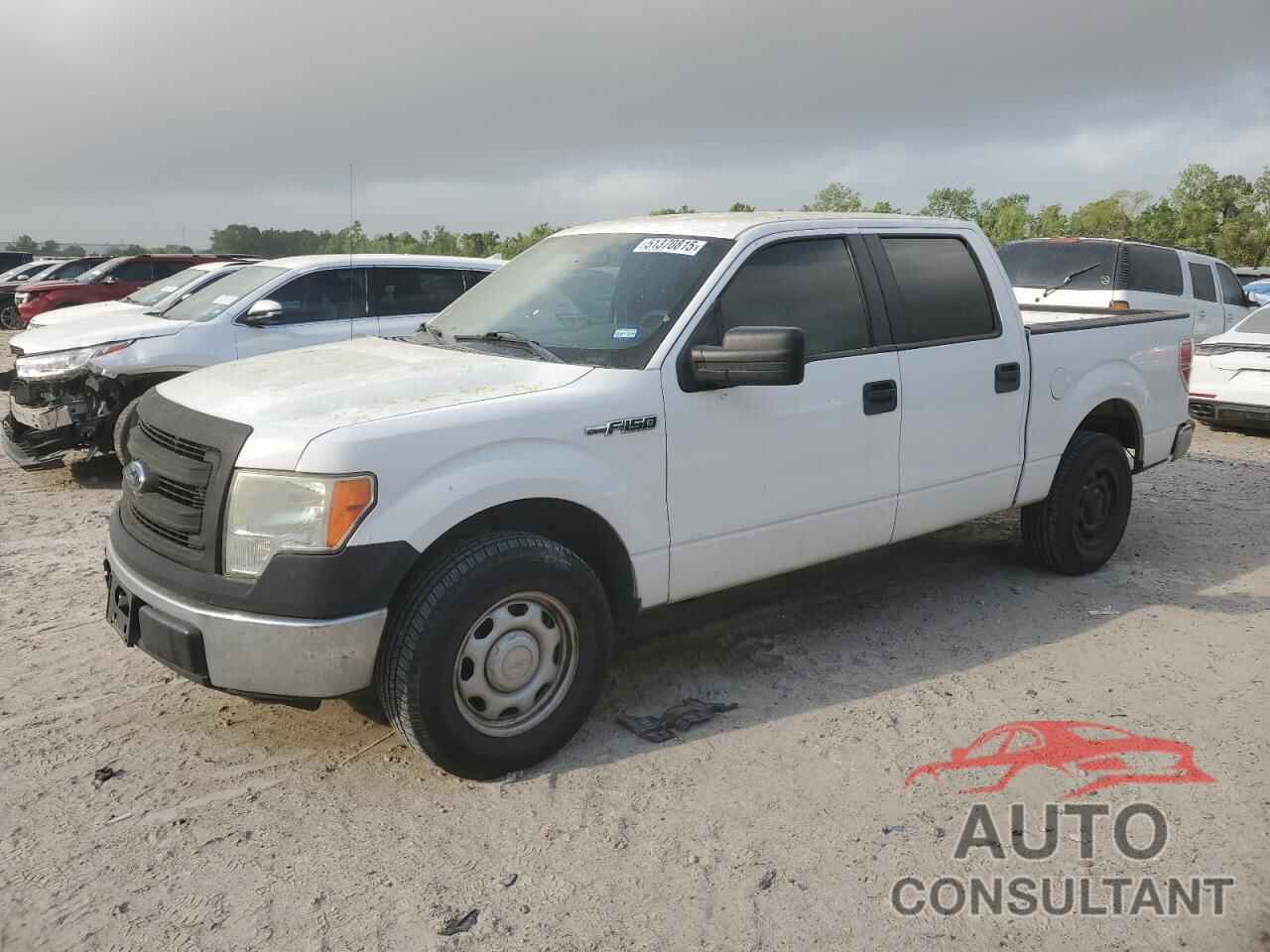 FORD F-150 2014 - 1FTEW1CM5EKE19594