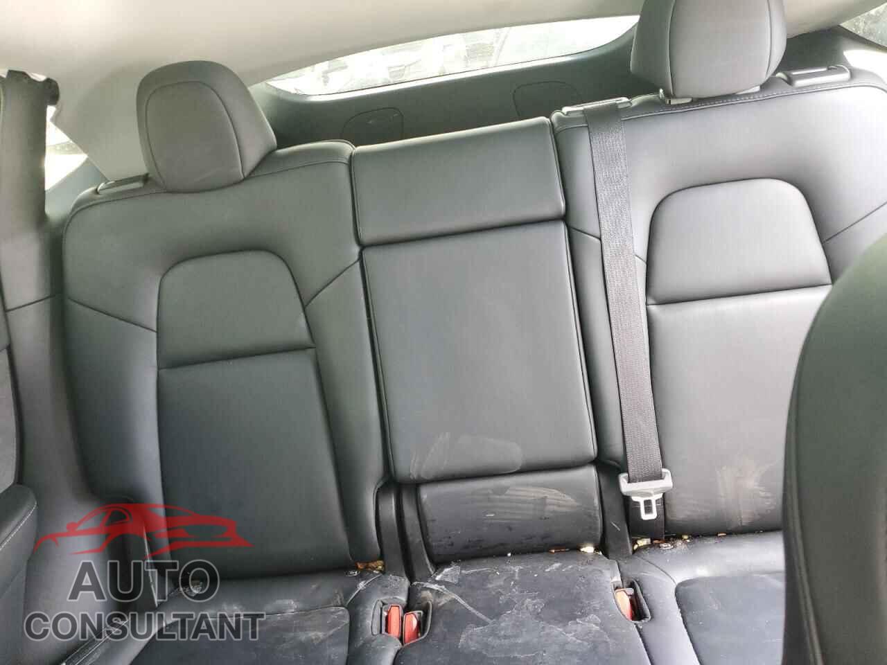 TESLA MODEL Y 2023 - 7SAYGAEE5PF858586