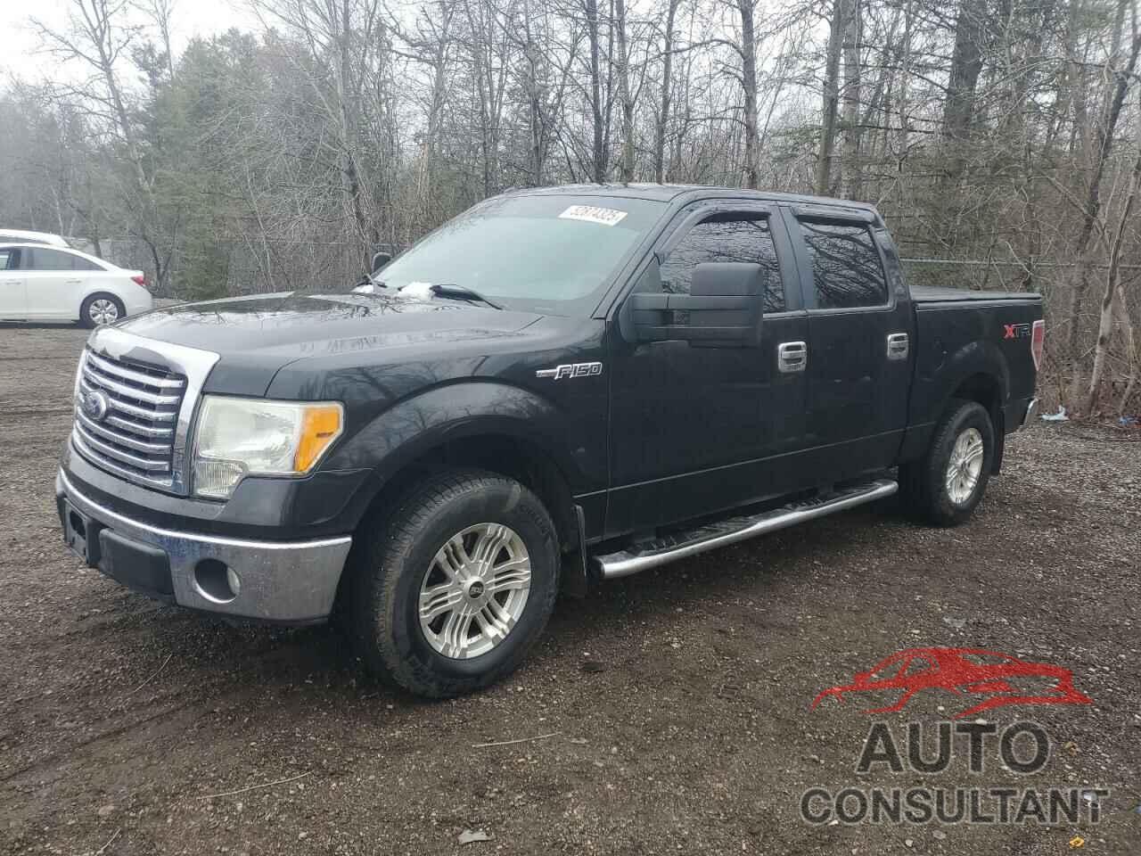 FORD F-150 2010 - 1FTFW1CV4AFC99190