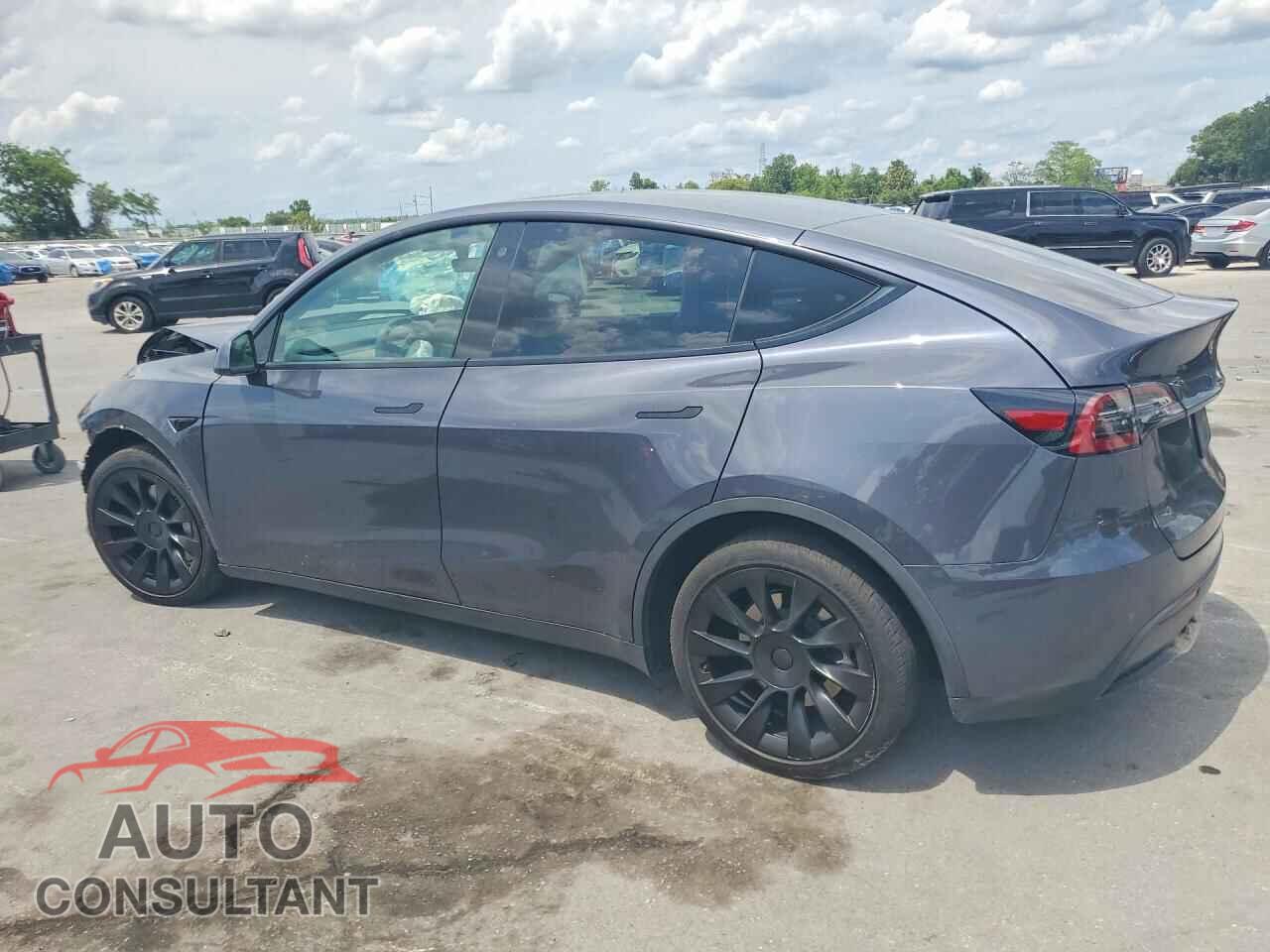 TESLA MODEL Y 2021 - 5YJYGDEEXMF204886