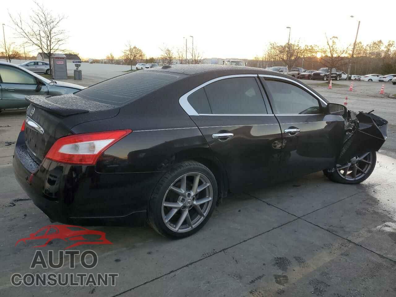 NISSAN MAXIMA 2011 - 1N4AA5AP0BC814599