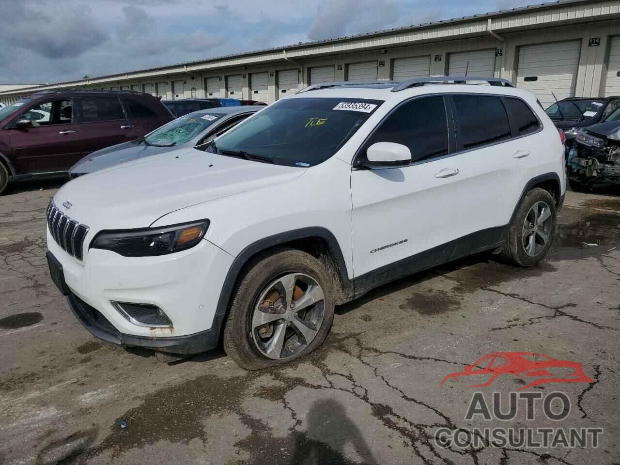 JEEP GRAND CHER 2019 - 1C4PJMDX4KD124732