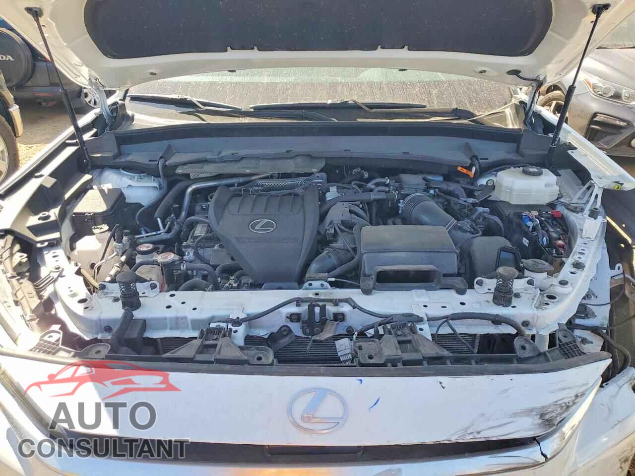 LEXUS UNKNOWN 2024 - 5TDABAB66RS002528
