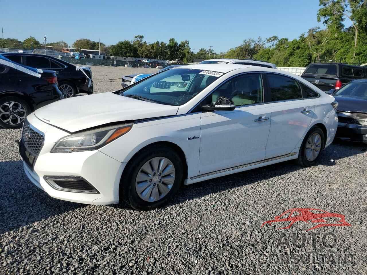 HYUNDAI SONATA 2016 - KMHE24L14GA022904