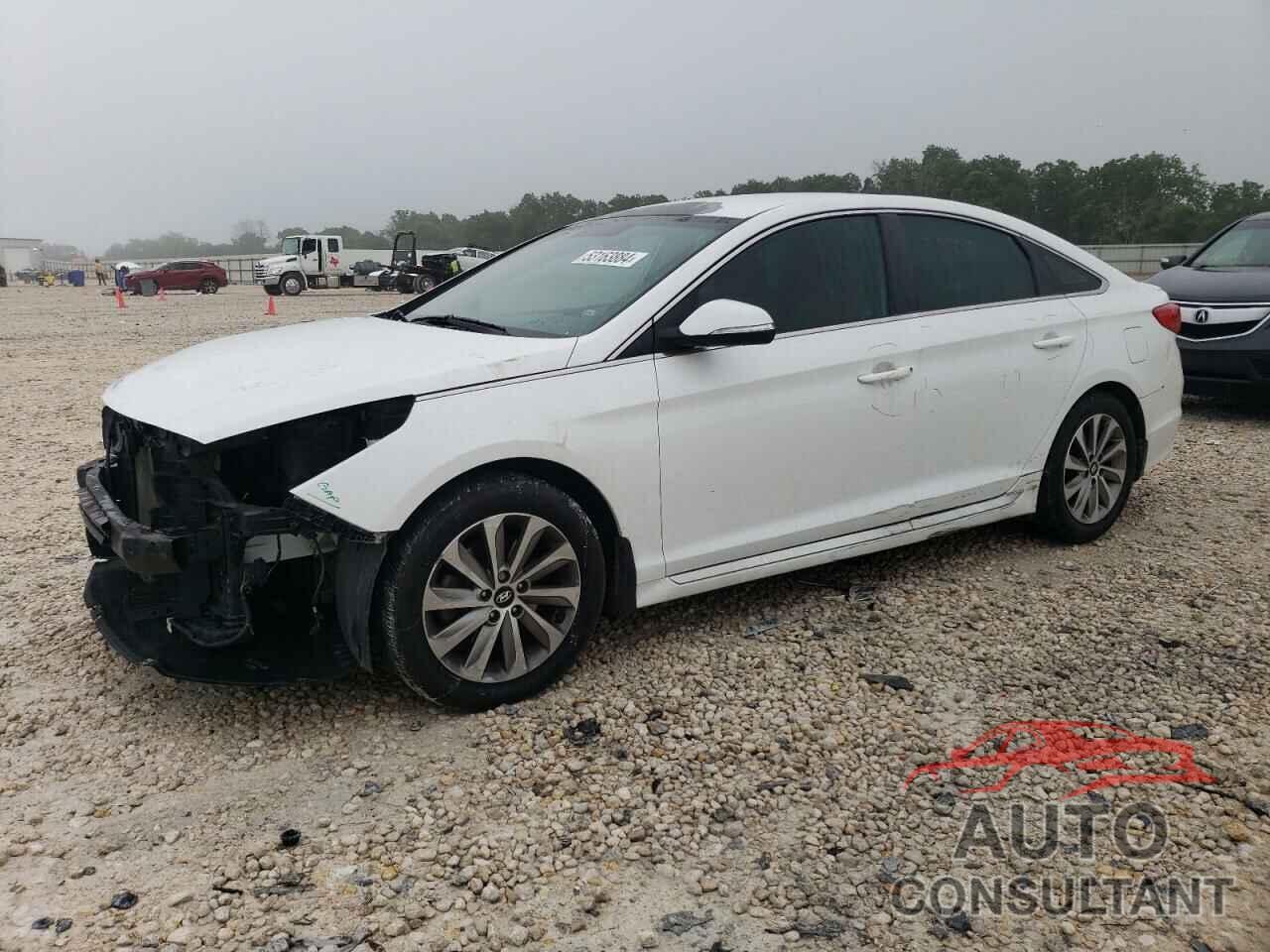HYUNDAI SONATA 2016 - 5NPE34AF1GH289393