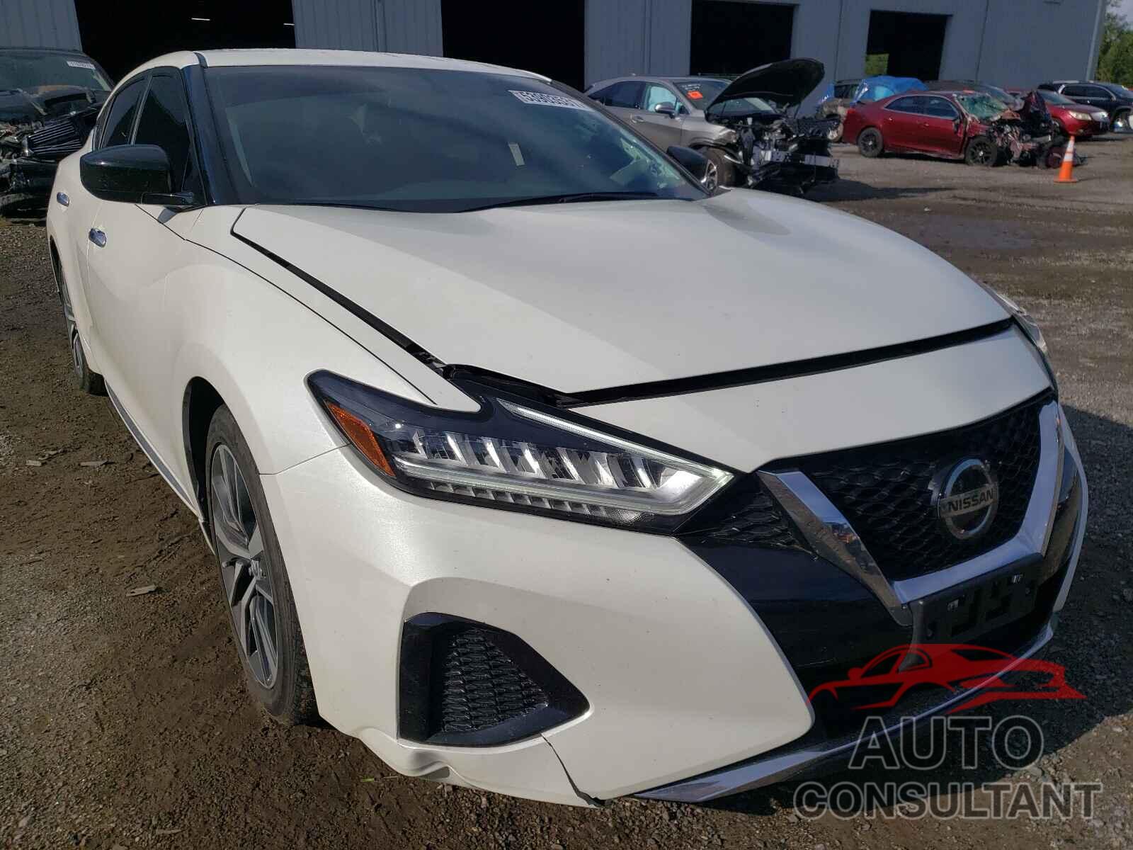 NISSAN MAXIMA 2019 - 1N4AA6AVXKC381846