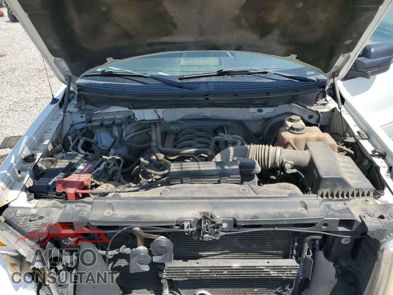 FORD F-150 2013 - 1FTFX1CF2DFC49219
