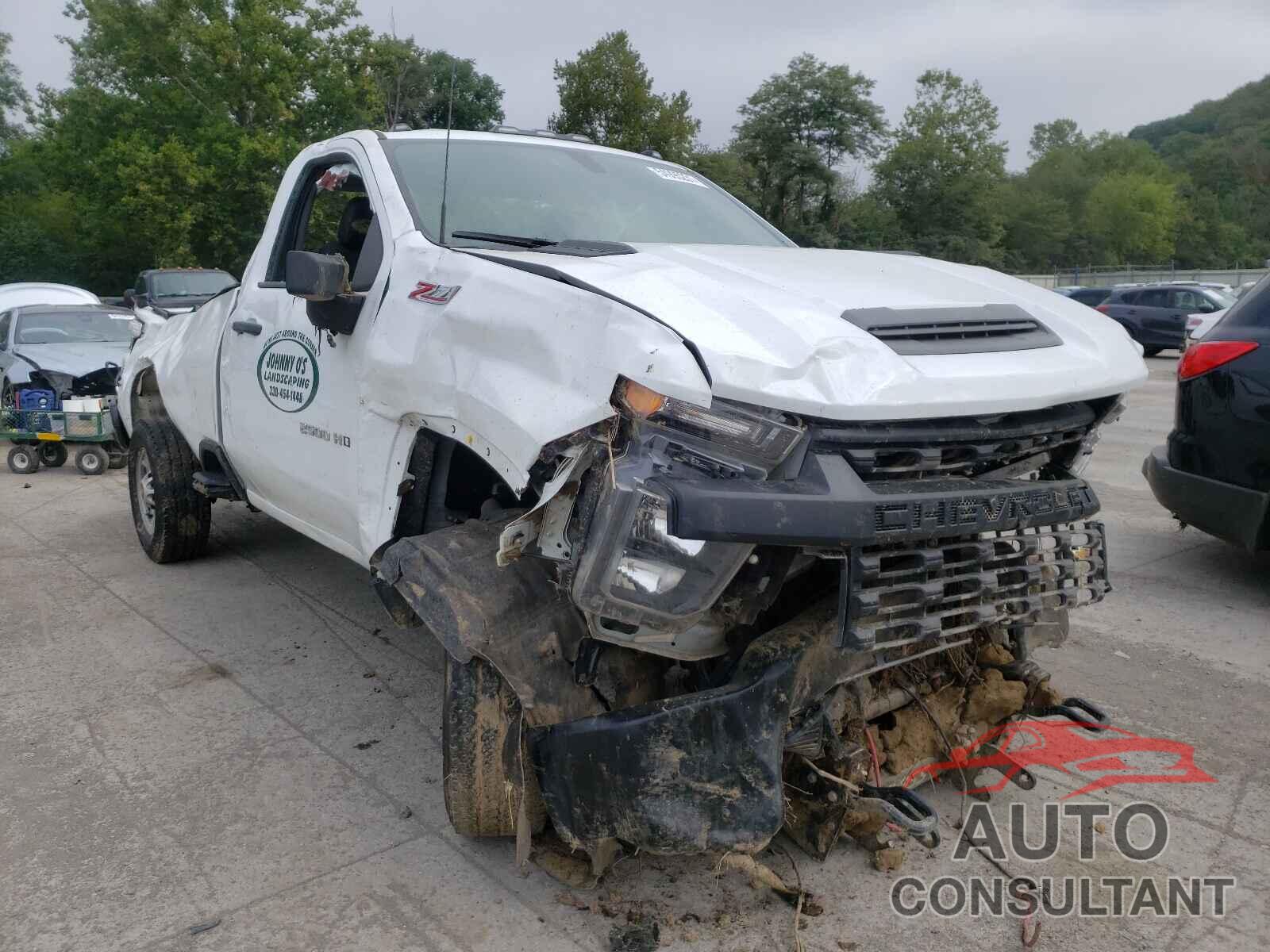 CHEVROLET SILVERADO 2020 - 1GC3YLE71LF304114