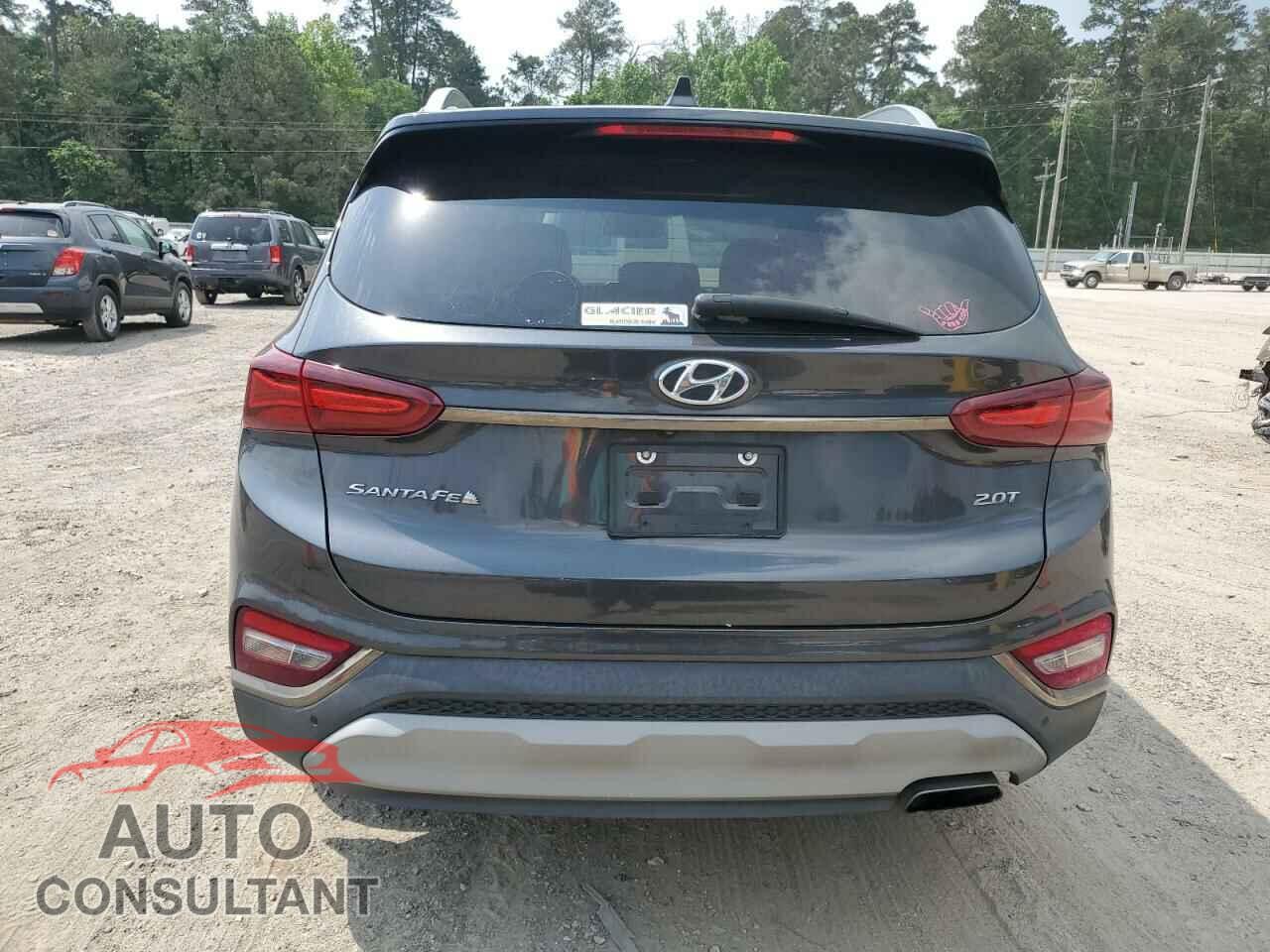 HYUNDAI SANTA FE 2020 - 5NMS53AA8LH282847