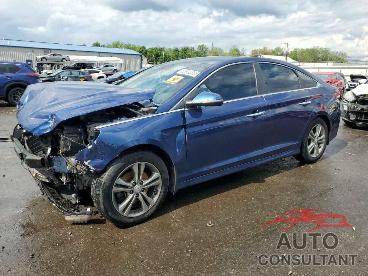 HYUNDAI SONATA 2019 - 5NPE34AF8KH809596