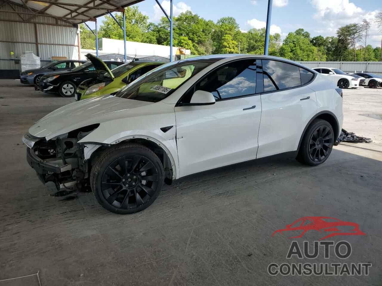 TESLA MODEL Y 2020 - 5YJYGDEE2LF014479