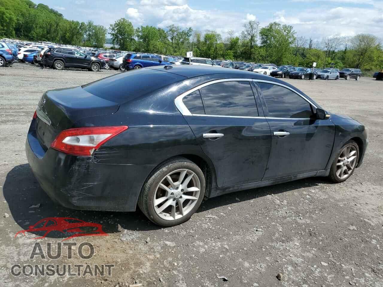 NISSAN MAXIMA 2011 - 1N4AA5AP1BC816233
