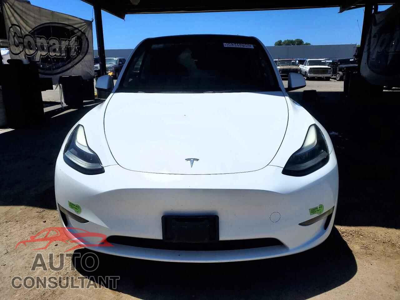 TESLA MODEL Y 2023 - 7SAYGDEE0PF637124
