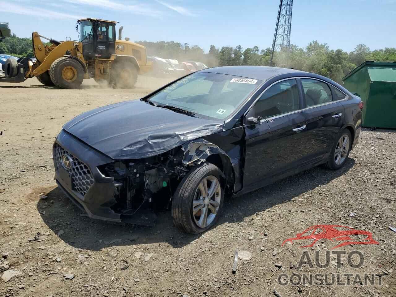 HYUNDAI SONATA 2019 - 5NPE34AF2KH753820