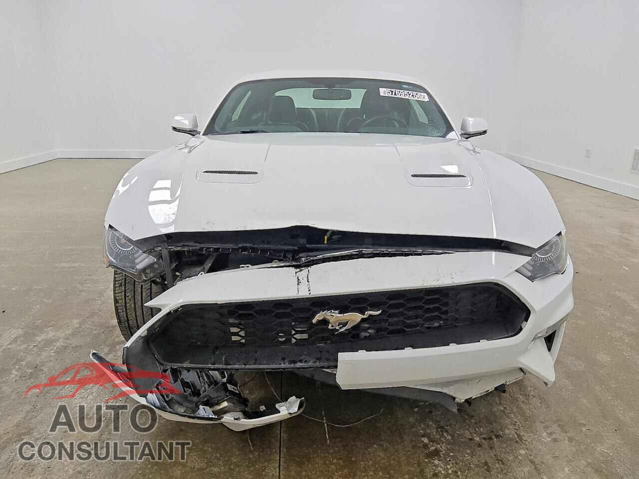 FORD MUSTANG 2019 - 1FA6P8TH4K5162134