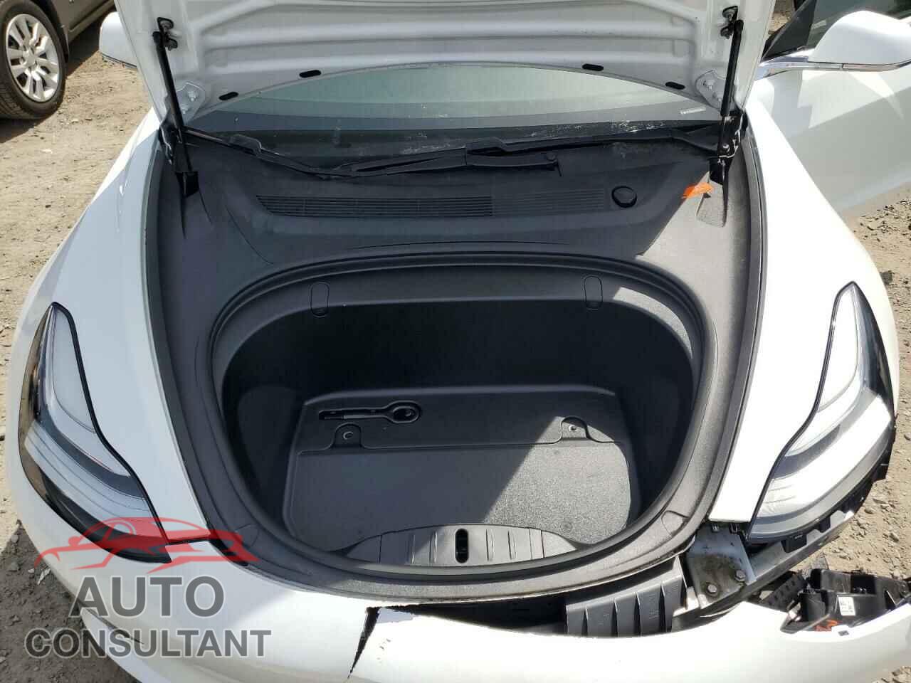 TESLA MODEL 3 2019 - 5YJ3E1EA3KF308001