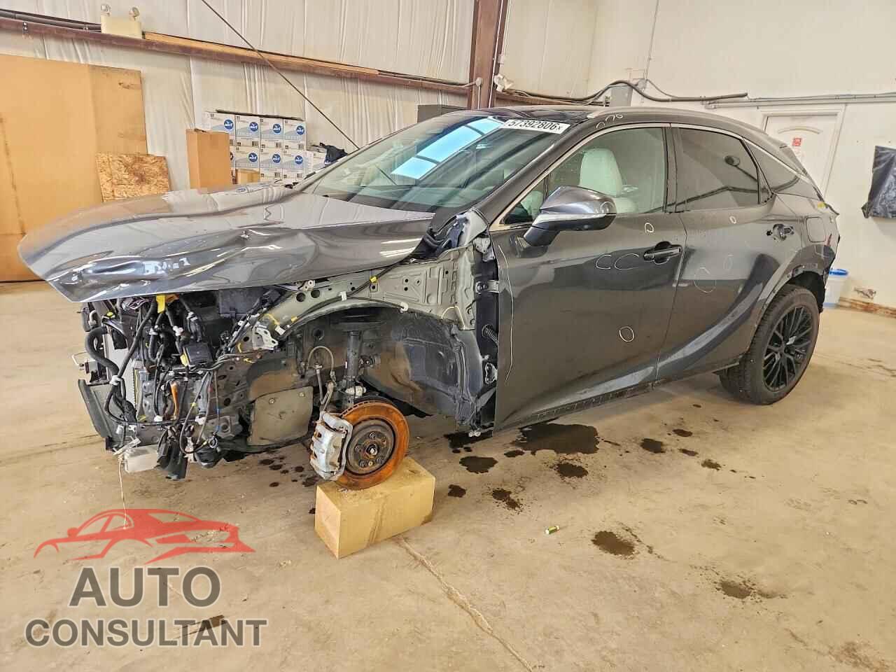 LEXUS UNKNOWN 2025 - 2T2BBMCA5SC097263