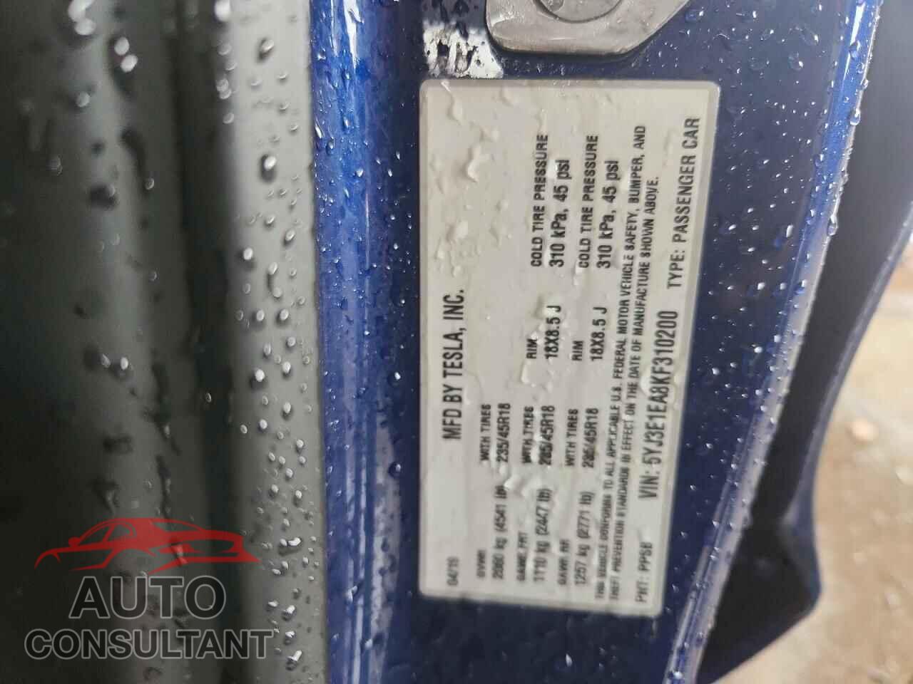 TESLA MODEL 3 2019 - 5YJ3E1EA8KF310200