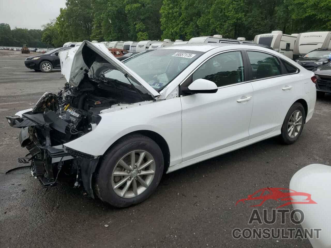HYUNDAI SONATA 2019 - 5NPE24AF3KH789177