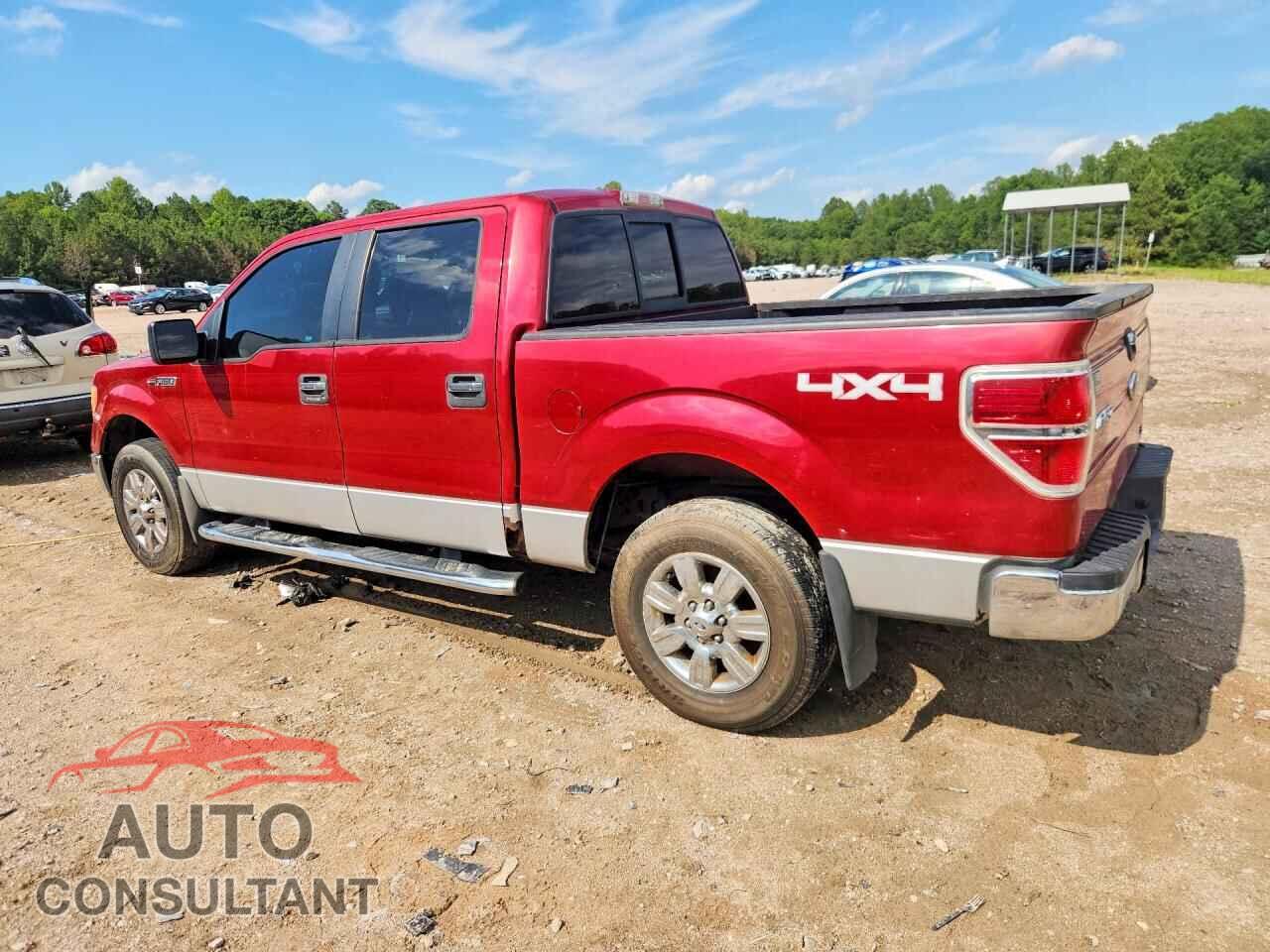 FORD F150 2010 - 1FTFW1EV1AFD08229
