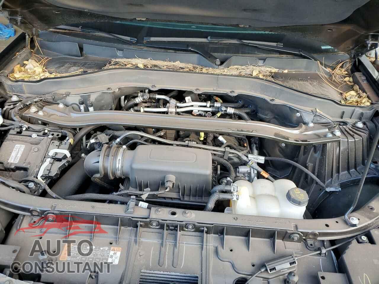 FORD EXPLORER 2023 - 1FMSK8FH4PGB39656