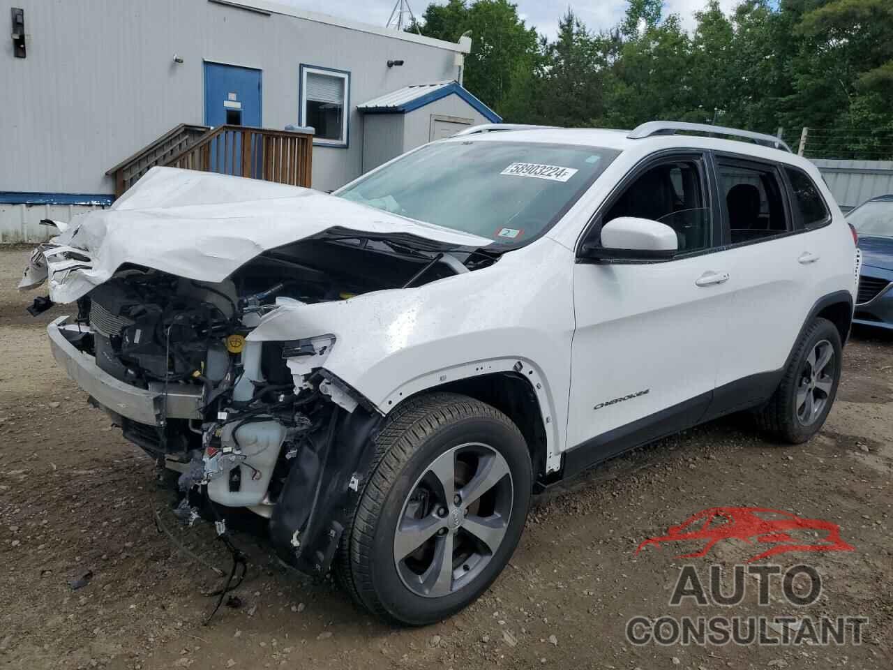 JEEP GRAND CHER 2019 - 1C4PJMDX4KD317690
