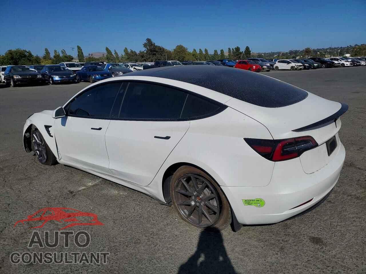 TESLA MODEL 3 2023 - 5YJ3E1EA7PF496173