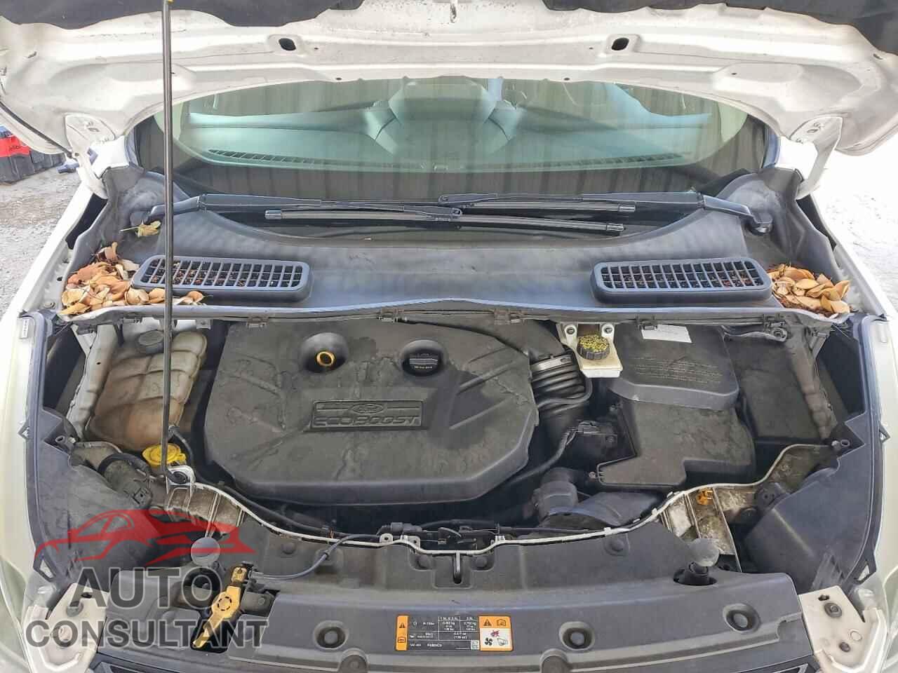 FORD ESCAPE 2013 - 1FMCU0J92DUB15465